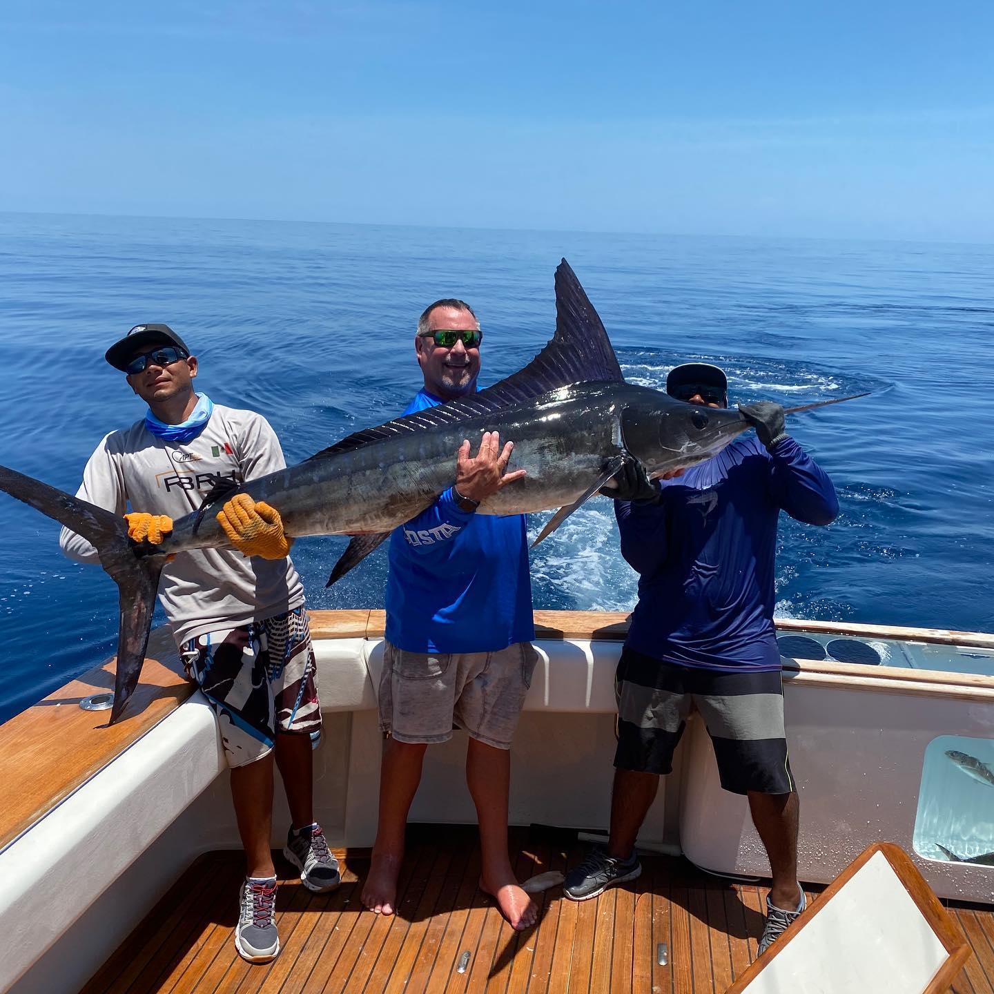 Los Cabos Tournaments Cabo Luxury Fishing Charters